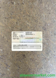 Germany ID template (2021 - present) photolook BACK